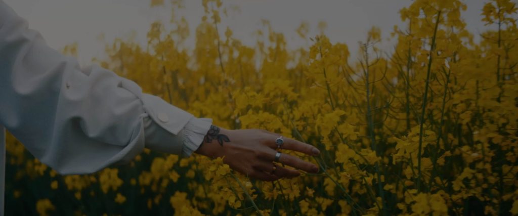 When Your Plant-Based Treatment Isn’t Working: What You Can Do Next