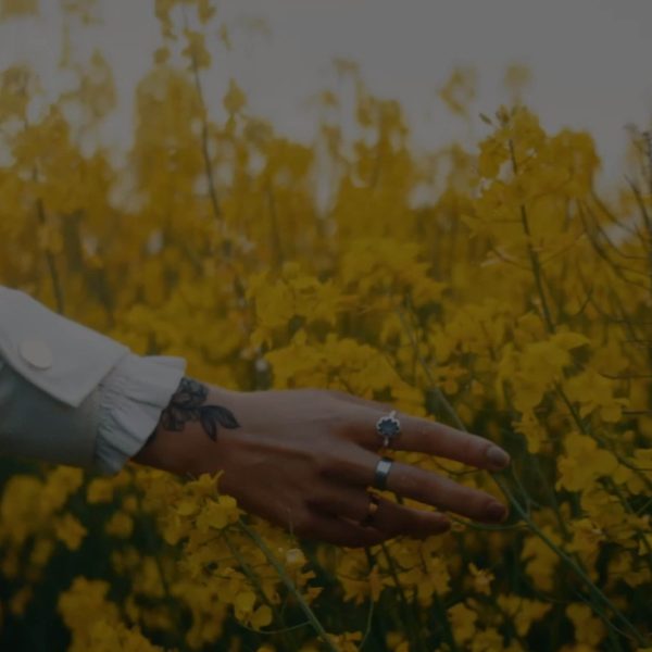 A hand with rings and a tattoo reaches out to touch yellow flowers in a field.